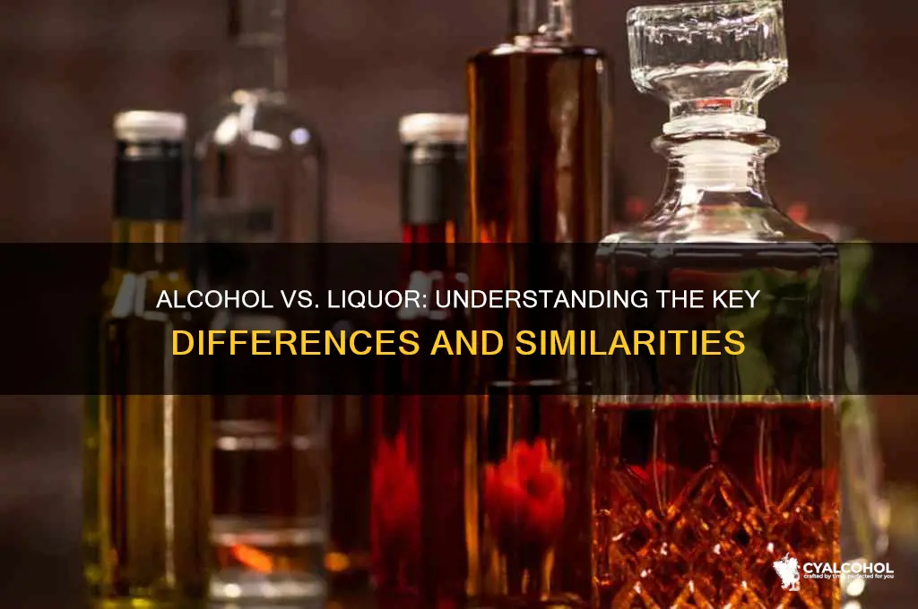 is alcohol and liquor the same