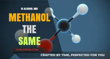 Alcohol vs. Methanol: Understanding the Key Differences and Dangers