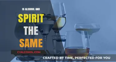 Alcohol vs. Spirits: Understanding the Key Differences and Similarities