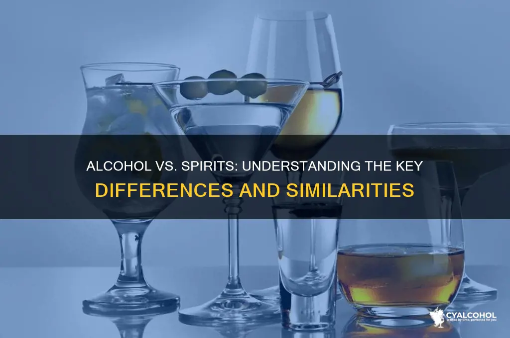 is alcohol and spirit the same