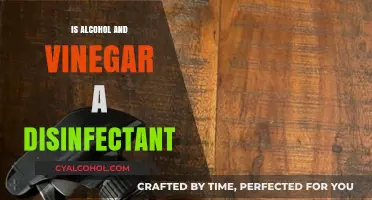 Alcohol vs. Vinegar: Which Household Item Disinfects Better?