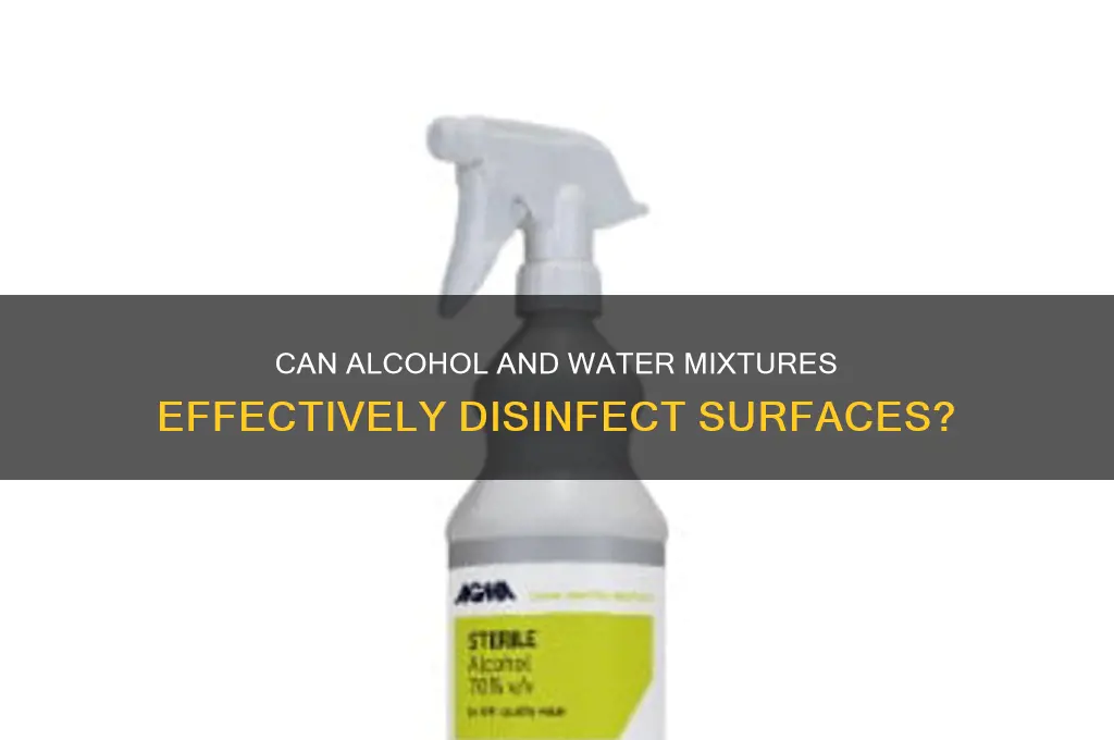 is alcohol and water a disinfectant