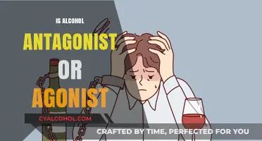 Alcohol's Dual Role: Antagonist or Agonist in the Brain's Chemistry?