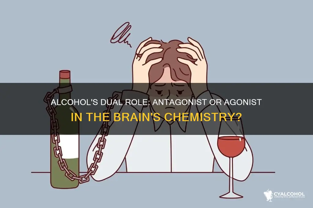 is alcohol antagonist or agonist