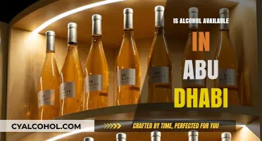 Exploring Alcohol Availability in Abu Dhabi: Rules, Locations, and Culture