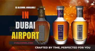 Exploring Dubai Airport: Alcohol Availability and Duty-Free Shopping Guide