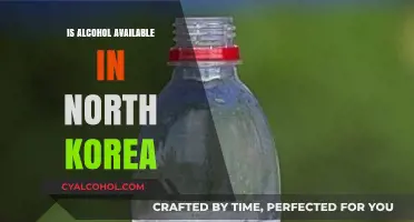 Exploring North Korea's Alcohol Scene: Availability and Cultural Insights