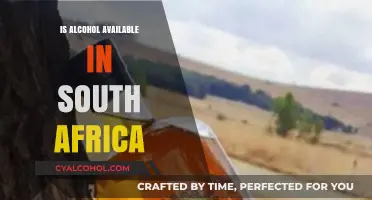 Exploring Alcohol Availability in South Africa: Laws, Options, and Accessibility