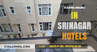 Alcohol Availability in Srinagar Hotels: What Travelers Need to Know