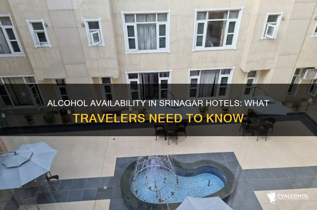 is alcohol available in srinagar hotels