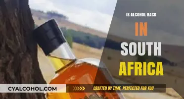 Is Alcohol Back in South Africa? Exploring the Current Status and Impact