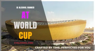 Alcohol Restrictions at the World Cup: What Fans Need to Know