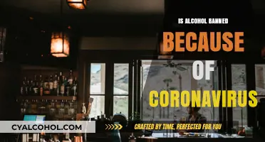 Coronavirus and Alcohol: Are Bans Necessary to Curb the Pandemic?