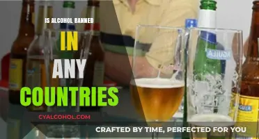 Alcohol Prohibition: Which Countries Have Banned Alcohol Consumption?