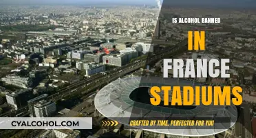 Alcohol in French Stadiums: Banned or Allowed? The Truth Revealed