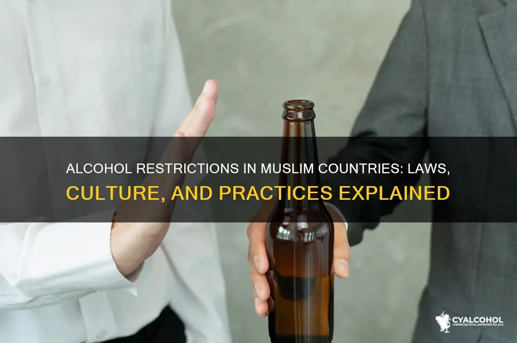 is alcohol banned in muslim countries