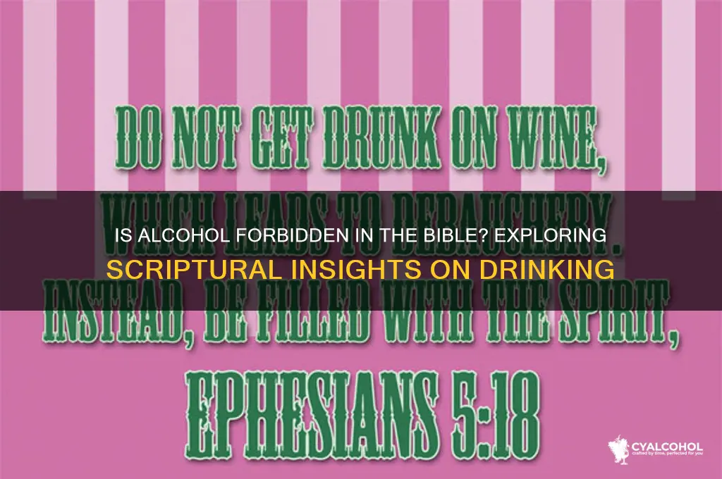 is alcohol banned in the bible
