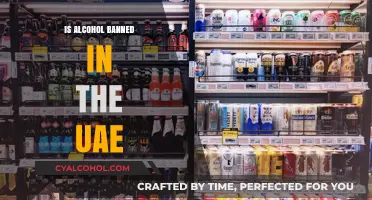 Alcohol in the UAE: Legal Status and Cultural Considerations Explained