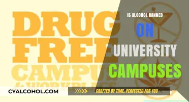 Alcohol Policies on University Campuses: Are Drinks Banned or Allowed?