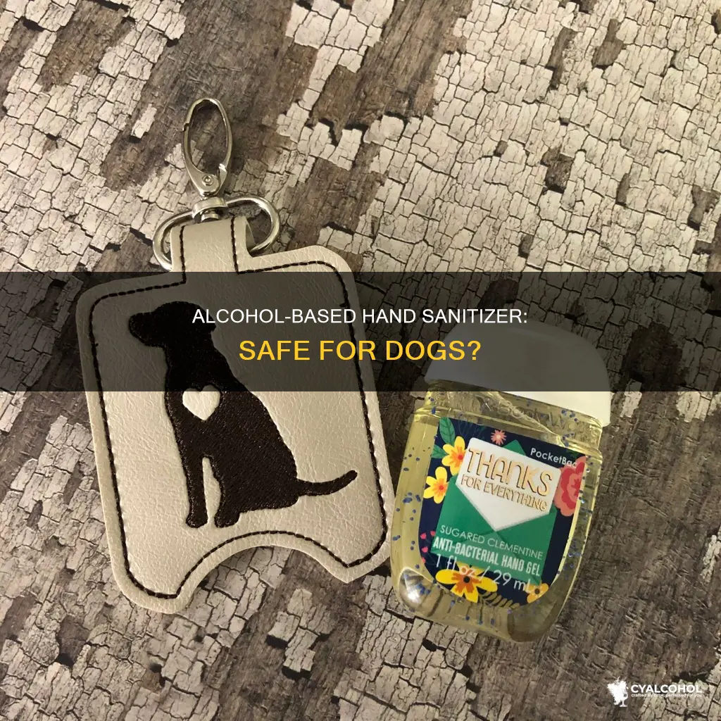 is alcohol based hand sanitizer safe to dogs skin