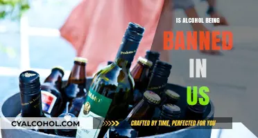 Is Alcohol Being Banned in the US? Exploring the Latest Debates