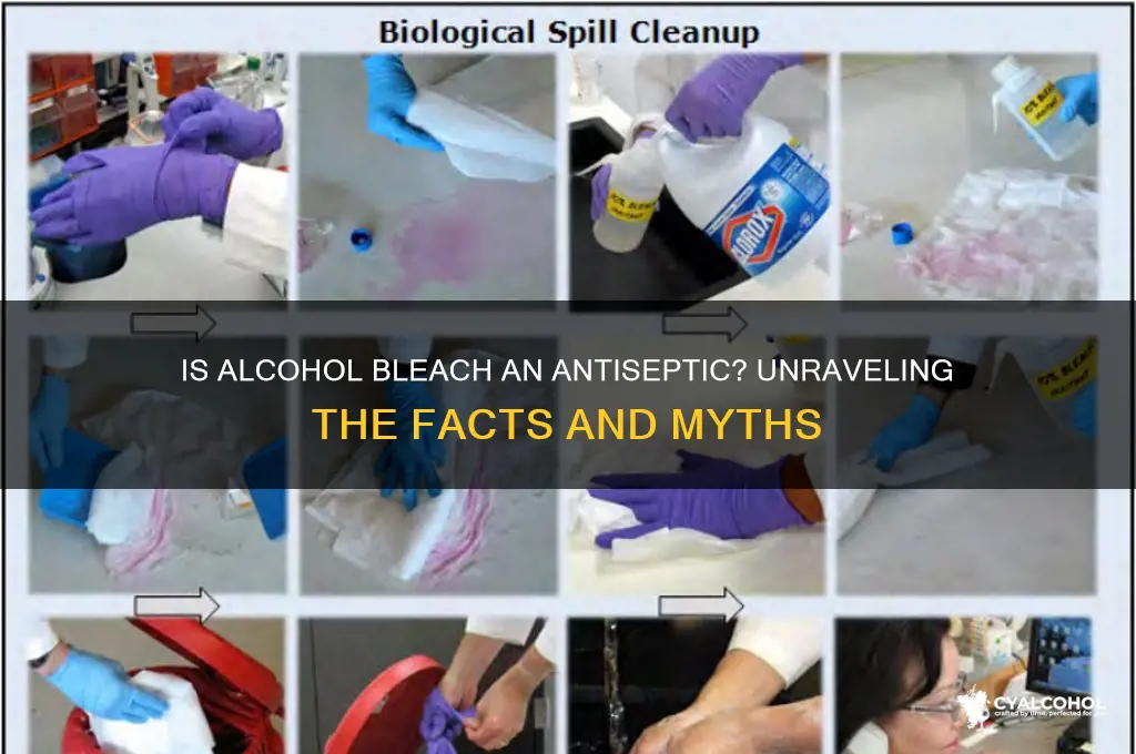 is alcohol bleach considered an antiseptic