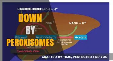 Peroxisomes and Alcohol Metabolism: Unraveling the Breakdown Process