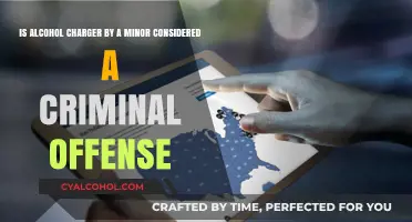 Alcohol and Minors: Criminal Charges and Consequences