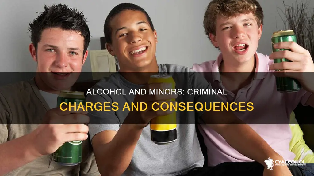 is alcohol charger by a minor considered a criminal offense