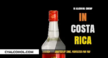 Is Alcohol Affordable in Costa Rica? A Price Breakdown for Travelers
