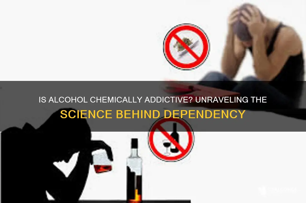 is alcohol chemically addictive