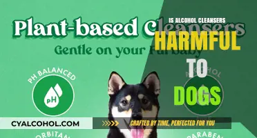 Are Alcohol-Based Cleansers Safe for Dogs? What Pet Owners Need to Know