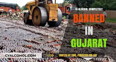 Is Alcohol Completely Banned in Gujarat? Exploring the State's Prohibition Laws