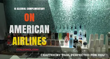 Is Alcohol Complimentary on American Airlines? Here's What to Expect