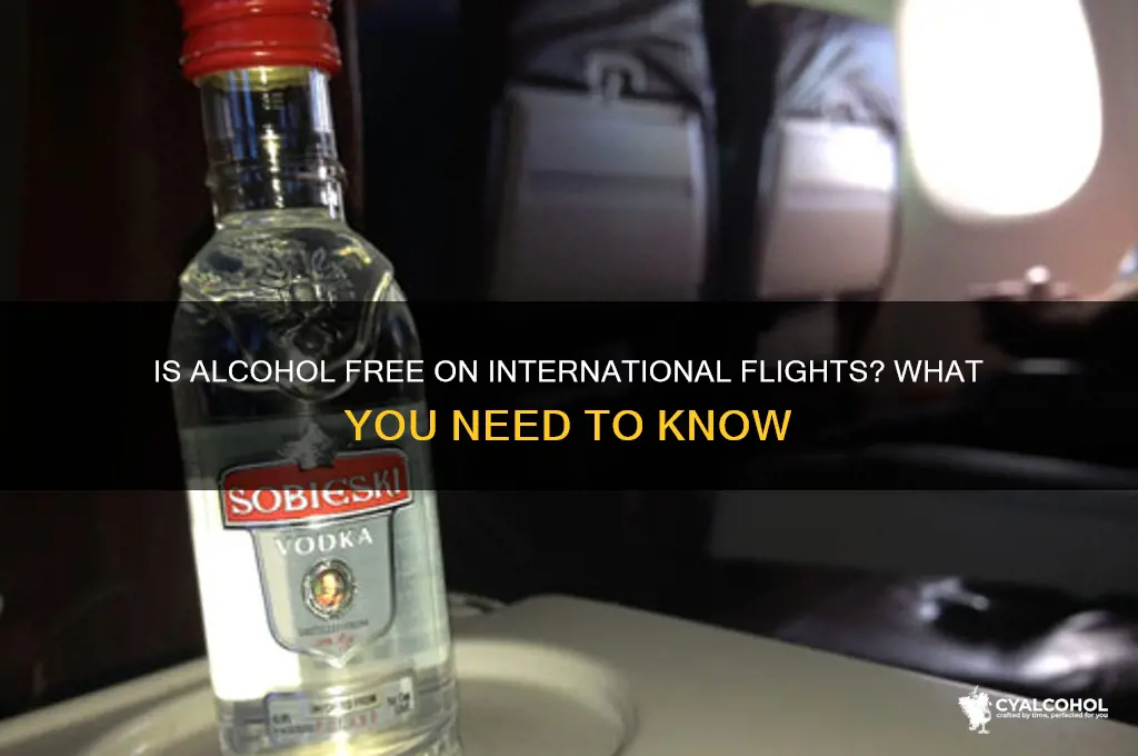 is alcohol complimentary on international flights