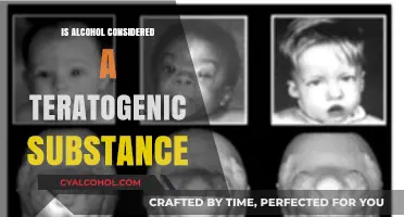 Alcohol and Teratogenicity: Understanding Risks to Fetal Development