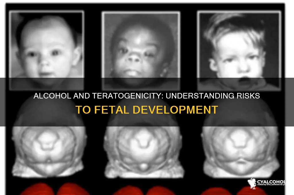 is alcohol considered a teratogenic substance