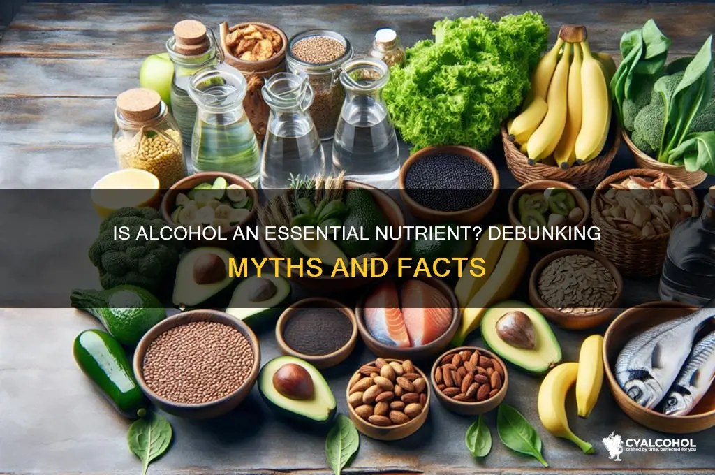 is alcohol considered an essential nutrient
