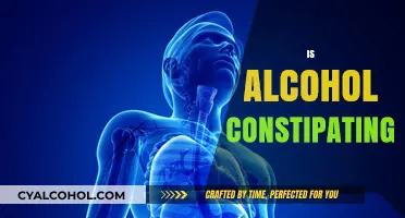 Does Alcohol Cause Constipation? Understanding Its Impact on Digestion