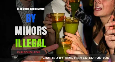 Is Alcohol Consumption by Minors Illegal? Understanding the Legal Boundaries