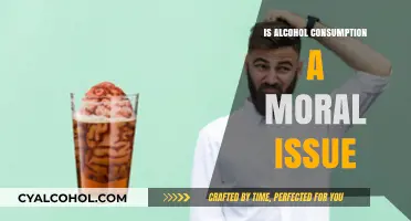 Alcohol Consumption: A Moral Dilemma or Personal Choice?