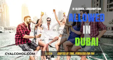 Is Alcohol Allowed in Dubai? Legal Guidelines and Cultural Insights