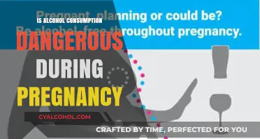 Pregnancy and Alcohol: Understanding the Risks and Consequences