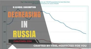 Russia's Shifting Drinking Habits: Is Alcohol Consumption Declining?
