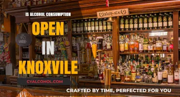 Knoxville's Alcohol Policies: Exploring Open Consumption Laws and Regulations