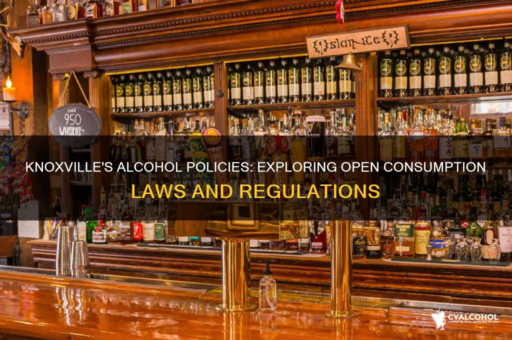 is alcohol consumption open in knoxvile