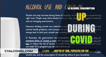 COVID-19 Impact: Rising Alcohol Consumption Trends During the Pandemic