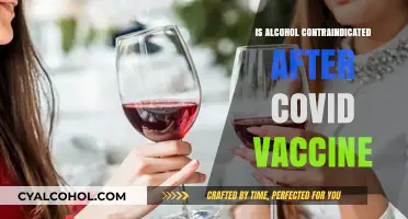 Alcohol and COVID-19 Vaccines: What You Need to Know Post-Shot