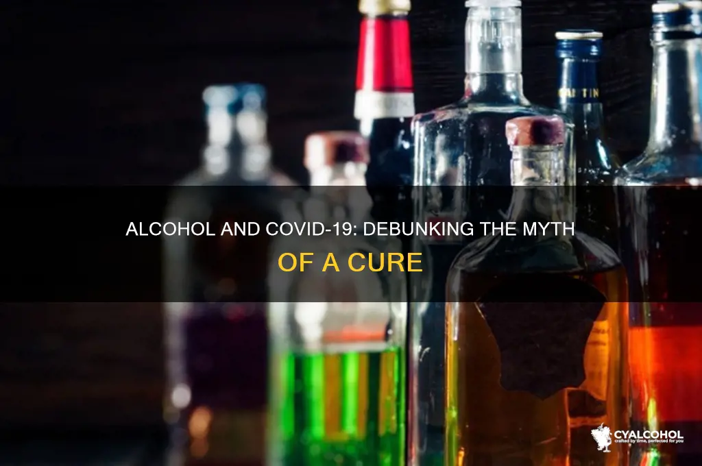 is alcohol cure for corona virus