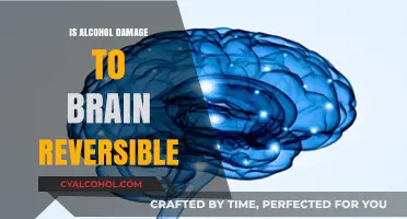 Can Alcohol-Induced Brain Damage Be Reversed? Exploring Recovery Possibilities